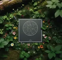 Starrymaps Poster on a forest floor with plans and flowers around.